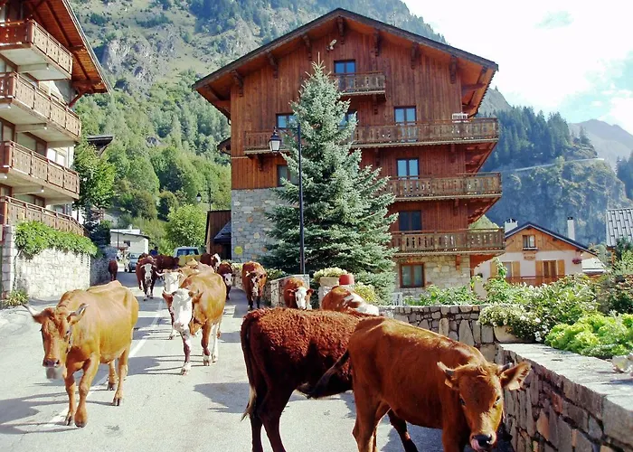 Les Du Bouquetin - Blaireau