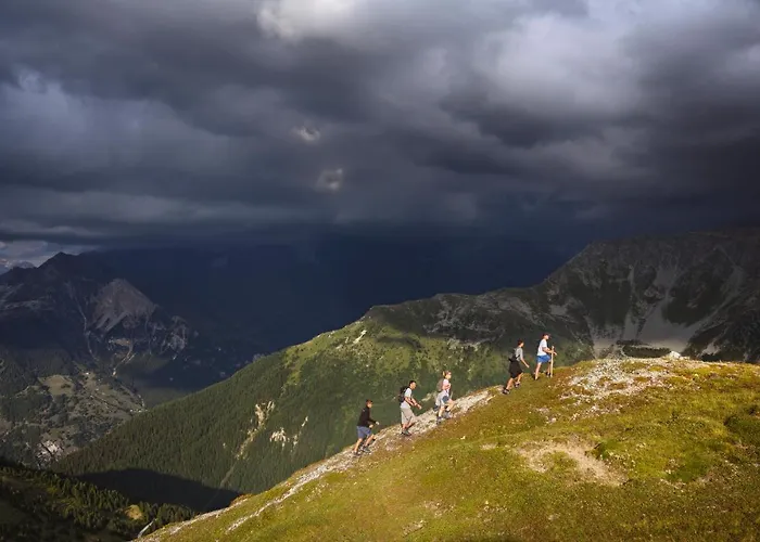 Les Du Bouquetin - Blaireau