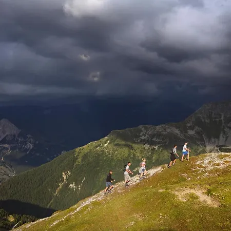 Les Du Bouquetin - Blaireau