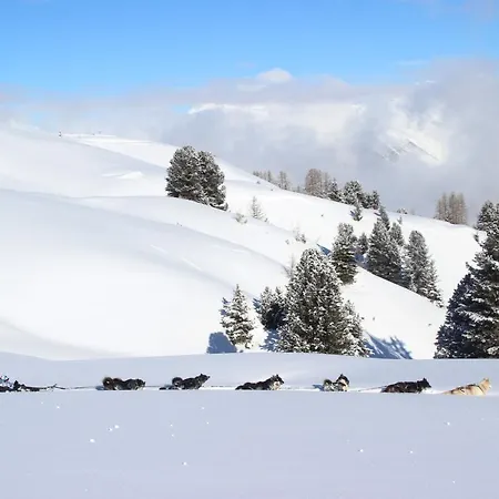 Appartement Les Du Bouquetin - Blaireau