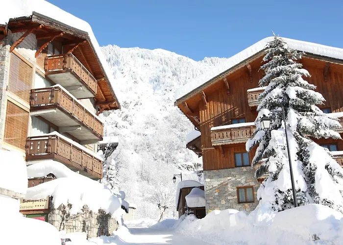 Les Du Bouquetin - Blaireau 公寓 拉普拉涅