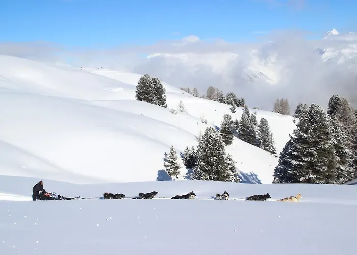 公寓 Les Du Bouquetin - Blaireau